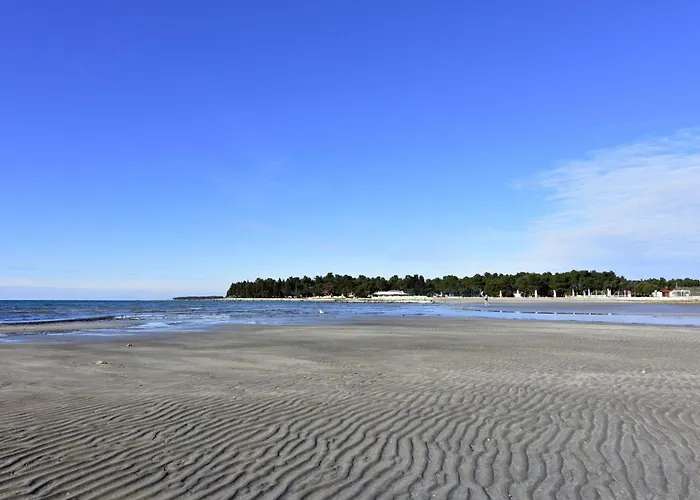 Elizabeta By Interhome Apartment Umag